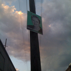 Elections and Political